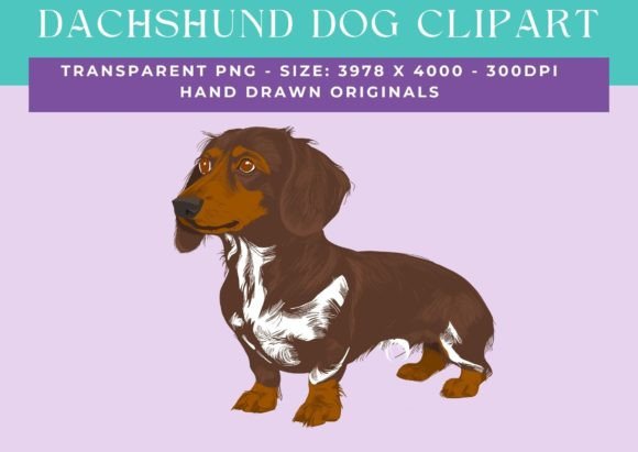 Dachshund - Sausage Dog - Weiner Clipart: A Unique Blend of Personality and Design